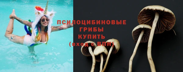 ешки Гусев