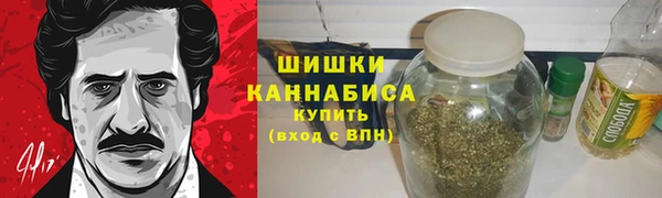 крисы Гусиноозёрск