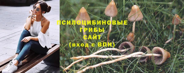 крисы Гусиноозёрск