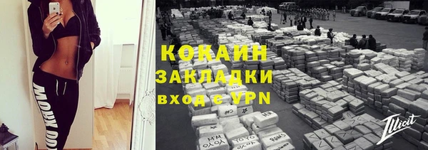 ешки Гусев