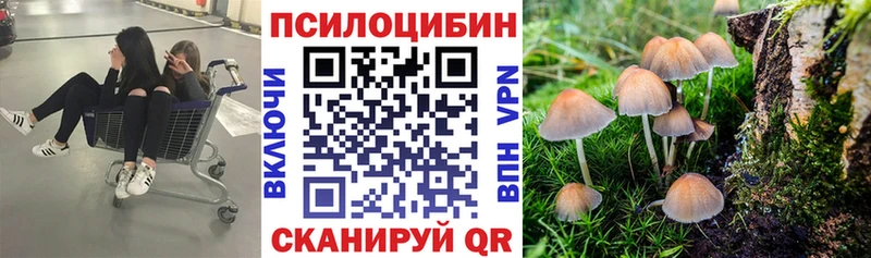 Галлюциногенные грибы Magic Shrooms Ильский